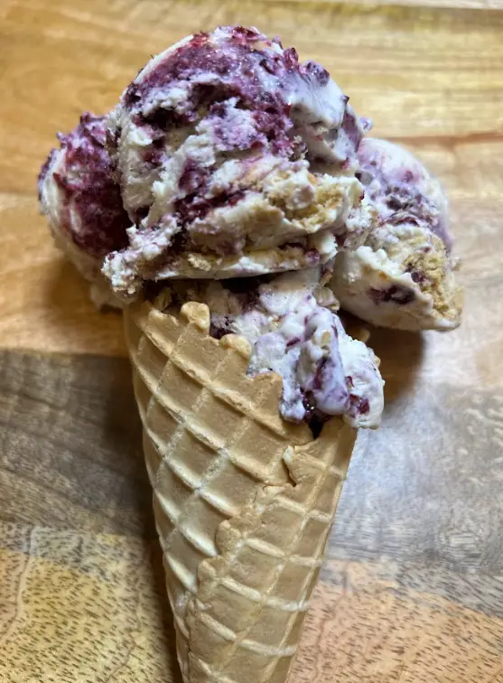 Blueberry Ice Cream