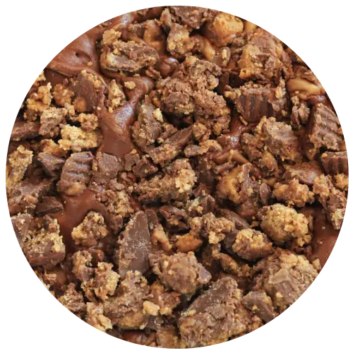 Chocolate Peanut Butter Ice Cream