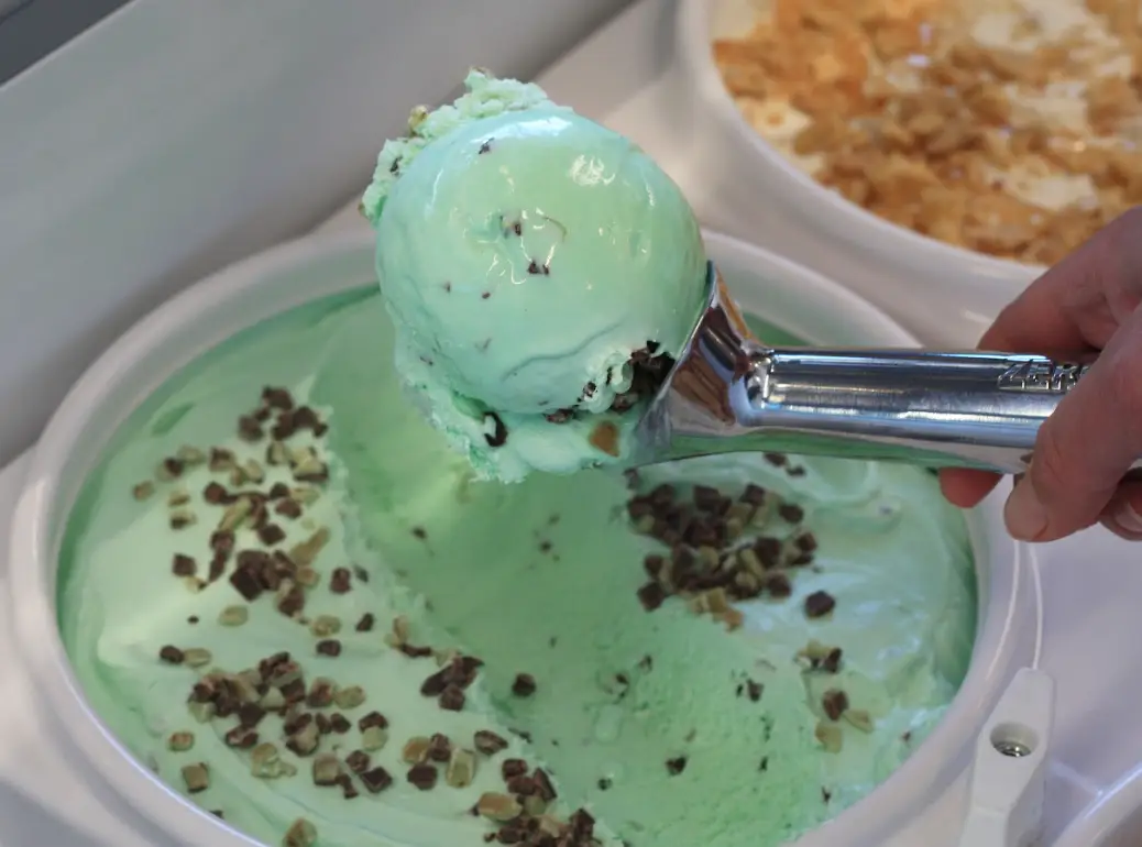 Mint Chocolate Chip Ice Cream - Thurgood Creamery